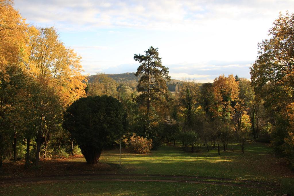 Villa Du Chatelet Choisy-au-Bac Værelse billede